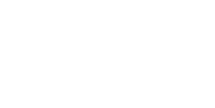 BARNES International Realty
