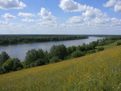 Сростки